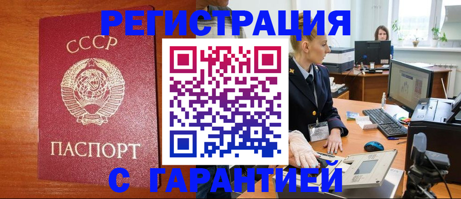 прописка 2025 в Елизово